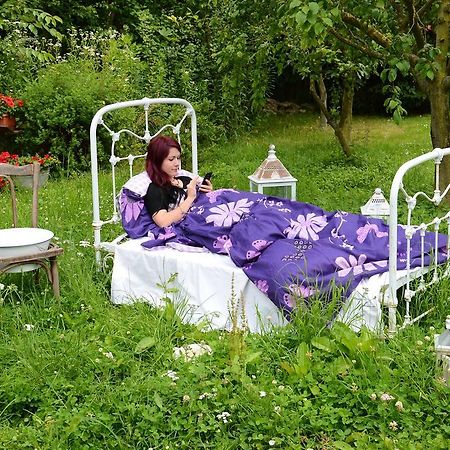 Landferienhaus Pension Erika Mühlhausen المظهر الخارجي الصورة